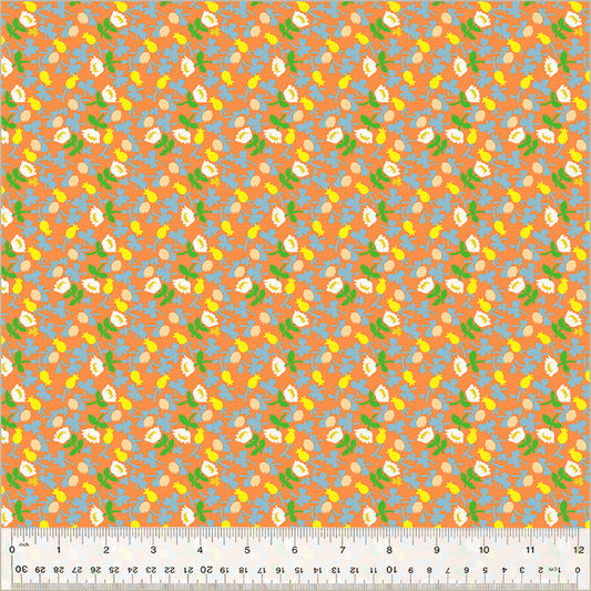 studio-edit-calico-orange