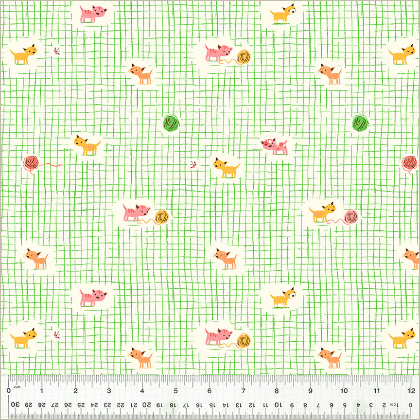 studio-edit-kitten-plaid