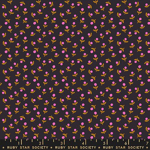 PREORDER Ruby Star Society Catnap Sprout in Black
