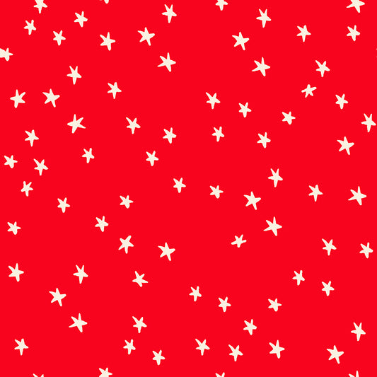 Ruby Star Society New Starry in Ladybug