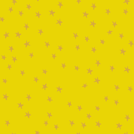 Ruby Star Society New Starry in Golden Hour