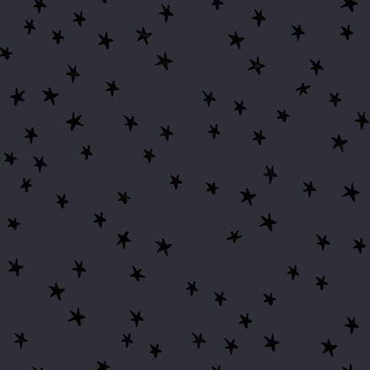 Ruby Star Society New Starry in Charcoal