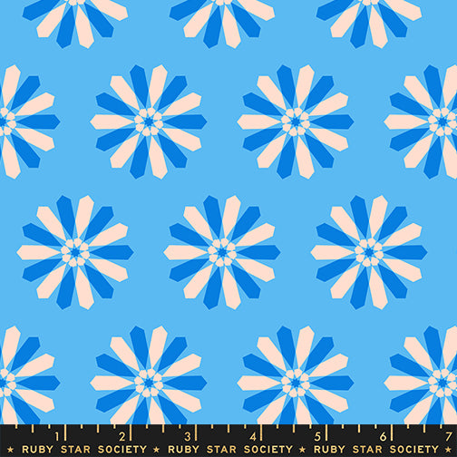 PREORDER Ruby Star Society Sparkle Mart Freshly Picked Altitude