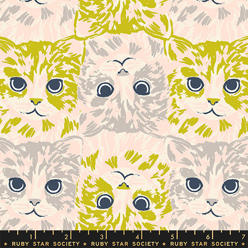 PREORDER Ruby Star Society Oops All Cats Cat Checkers Pistachio