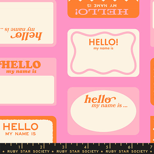 PREORDER Ruby Star Society Sticker Book Hello My Name Is Flamingo