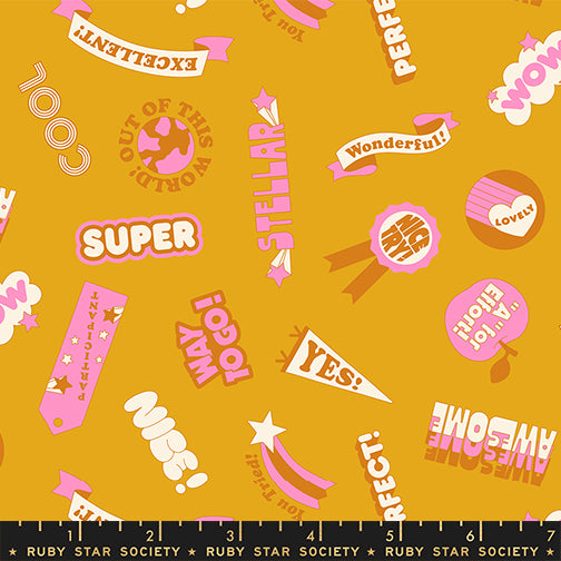 PREORDER Ruby Star Society Sticker Book Reward Stickers Goldenrod