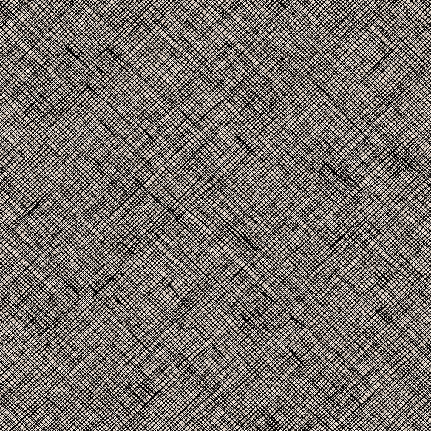 PREORDER Ruby Star Society Memento Canvas Crosshatch Black