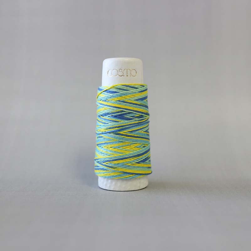 Cosmo Hidamari Sashiko Variegated Thread Sour Candy #304