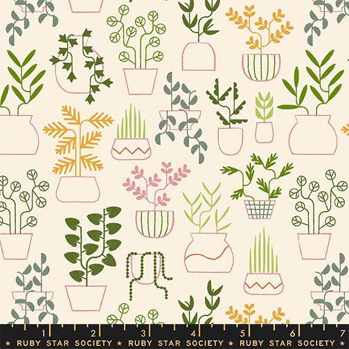 PREORDER Ruby Star Society Calathea Plant Life in Natural