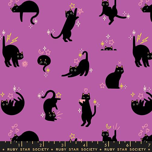 PREORDER Ruby Star Society Freaky Familiars Catwalk Witchy