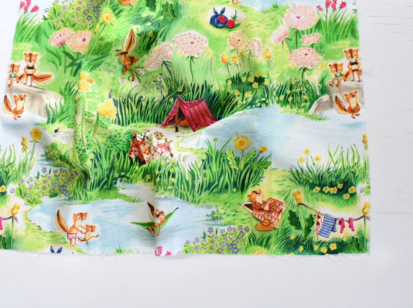 PREORDER Heather Ross Boat Race Chipmunks Camping in Multi