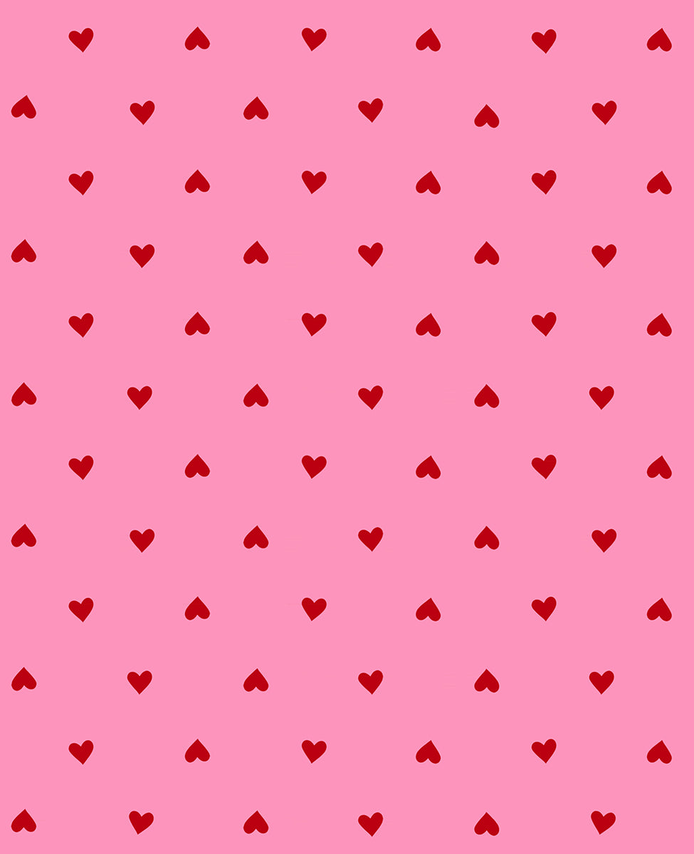 PREORDER Ruby Star Society Trinketry Hearts in Flamingo