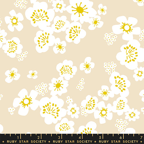 PREORDER Ruby Star Society Paper Cuts 2 Hana in Parchment