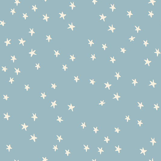 PREORDER Ruby Star Society NewStarry in Soft Blue