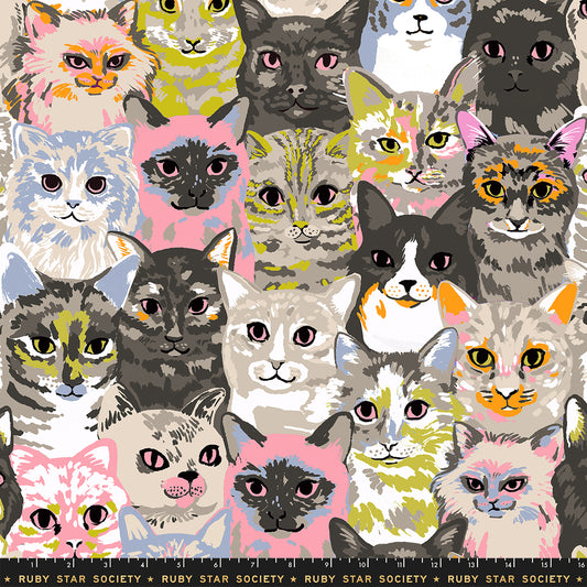 PREORDER Ruby Star Society Oops All Cats Hundreds of Cats Sandbox