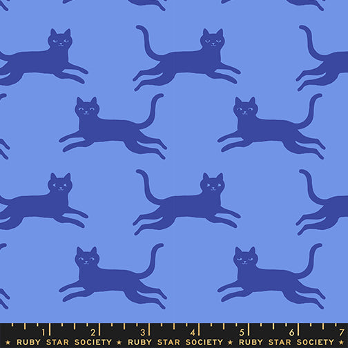PREORDER Ruby Star Society Oops All Cats Kitty Run Lindley Blue