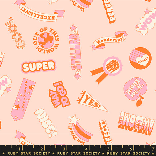 PREORDER Ruby Star Society Sticker Book Reward Stickers Pale Peach