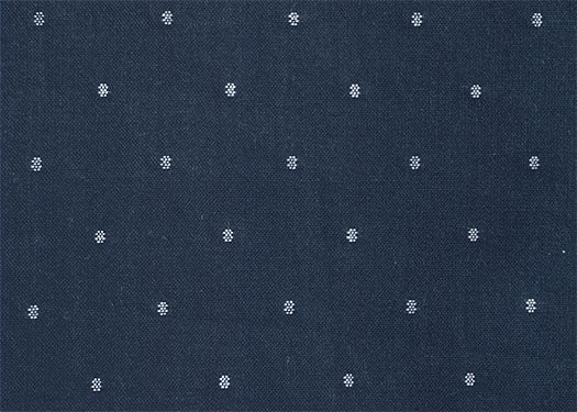 FIGO Intervals Small Dots in Navy