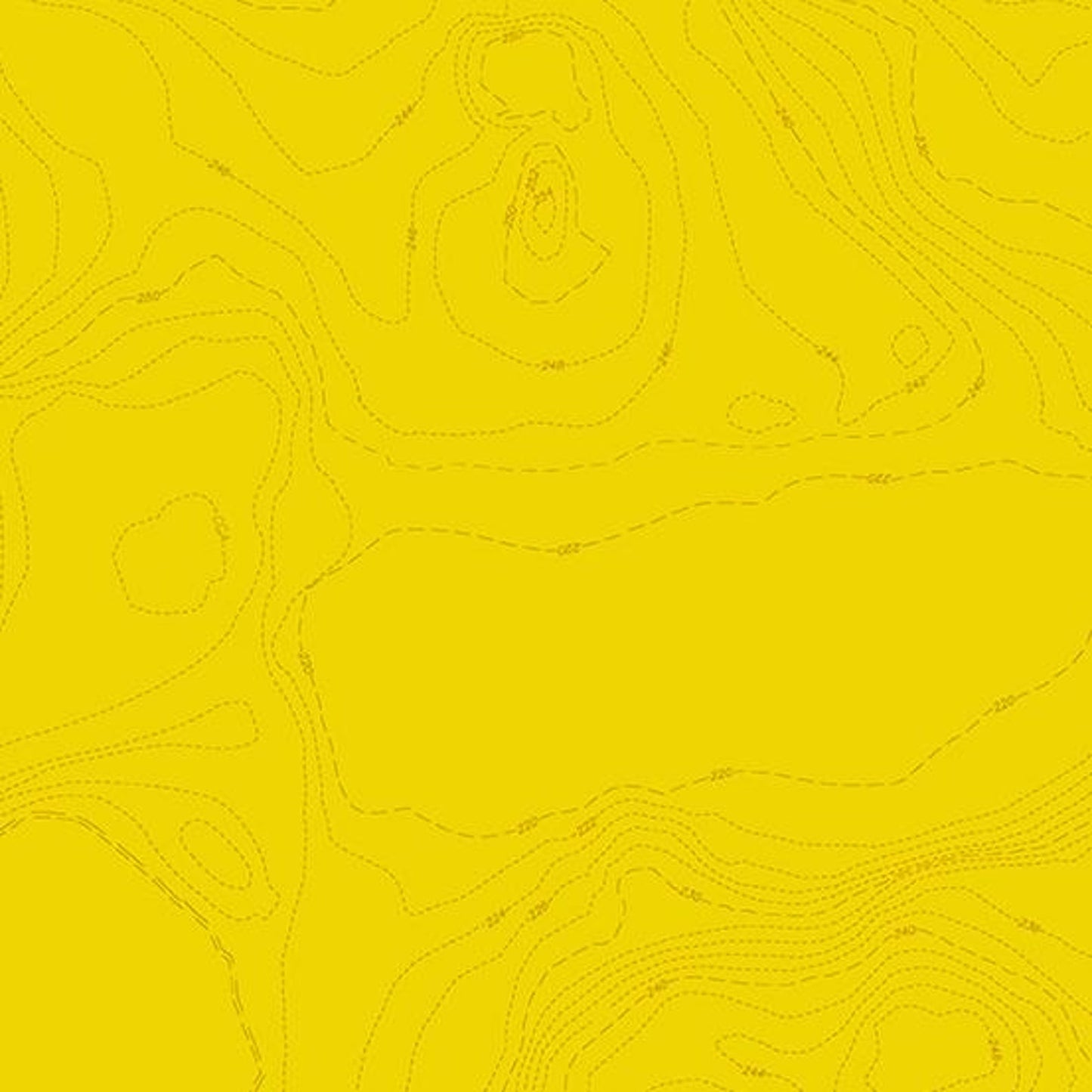 Sun Print 2023 by Alison Glass Topography in Lemon