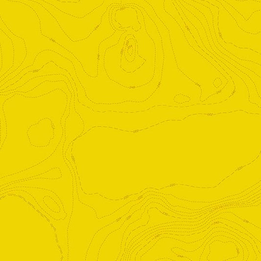 Sun Print 2023 by Alison Glass Topography in Lemon