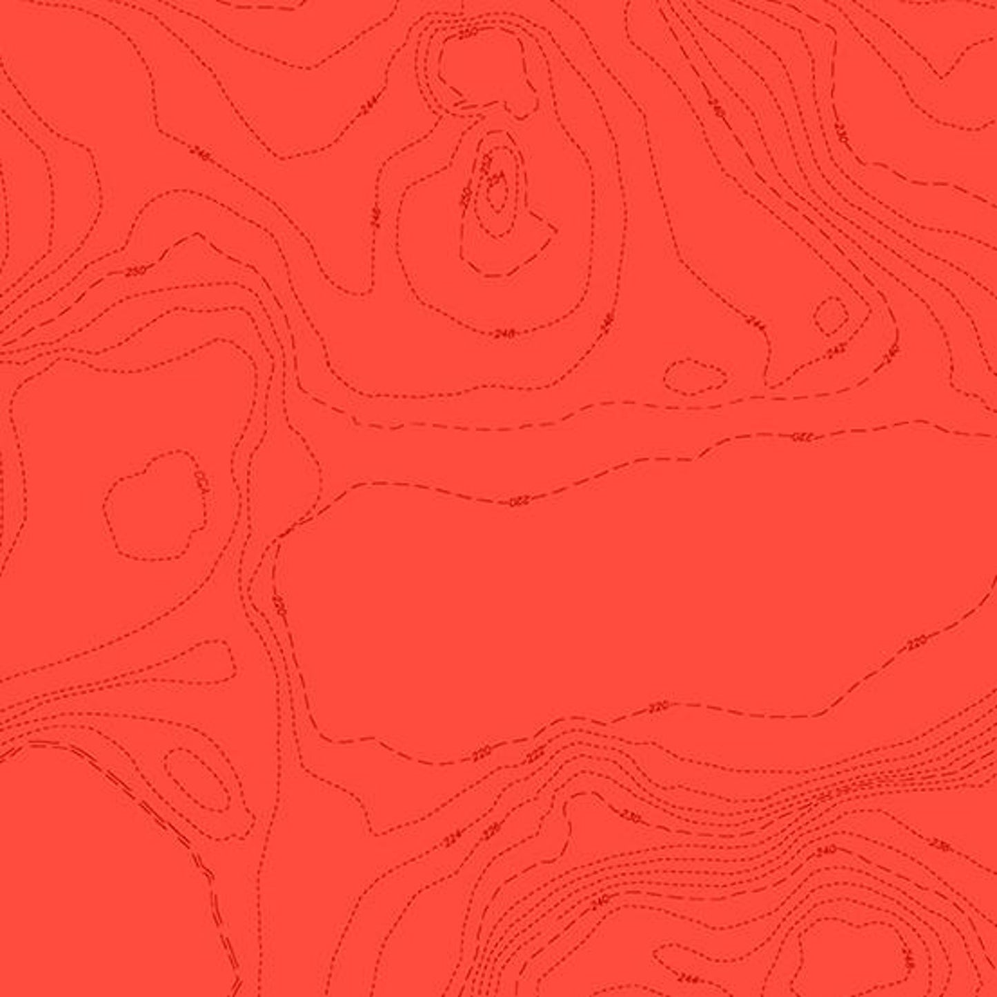 Sun Print by Alison Glass Topography in Maple