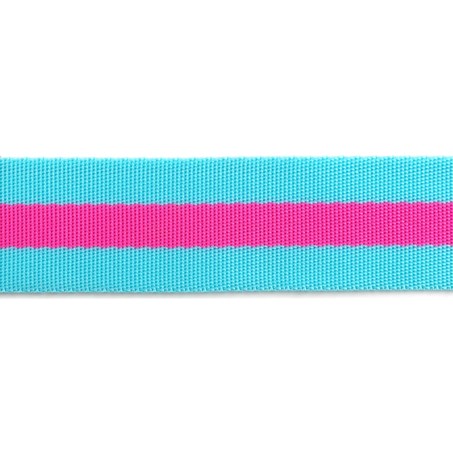 close up of tula pink 1.5" nylon webbing, in aqua + hot pink colorway
